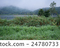 森林和湖泊 24780733