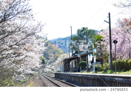 春天的八代山站 春天的八代山站 24780855