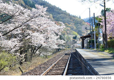 春天的八代山站 24780856