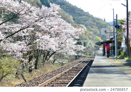 春天的八代山站 24780857