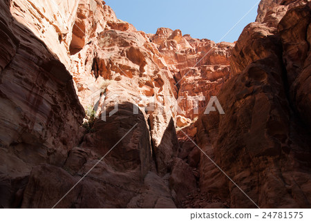 佩特拉遺址尋求(峽谷) 佩特拉遺址尋求(峽谷) 24781575