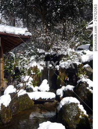 Snow scene of Hohsen-in Temple in Kyoto 24782063