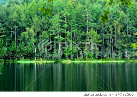 Oga pond in early autumn 24782506