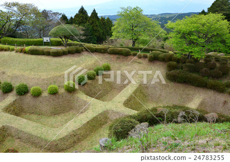 西野丸遺址下的山中城堡神社護城河(2016.4) 西野丸遺址下的山中城堡神社護城河(2016.4) 24783255