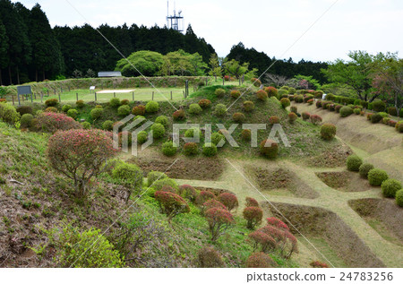 西野丸遺址下的山中城堡神社護城河(2016.4) 西野丸遺址下的山中城堡神社護城河(2016.4) 24783256