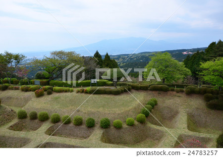 西野丸遺址下的山中城堡神社護城河（2016.4） 24783257