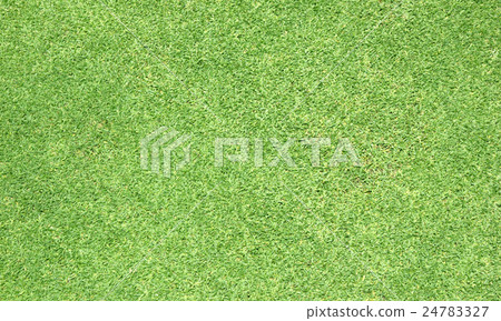 Green grass background Green grass background 24783327