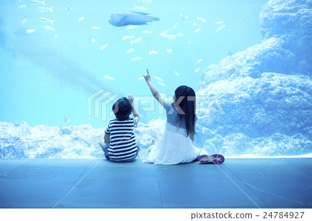 水族館兒童 24784927