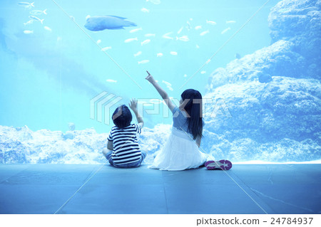 水族館兒童 水族館兒童 24784937