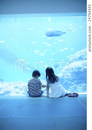 水族館兒童 24784945