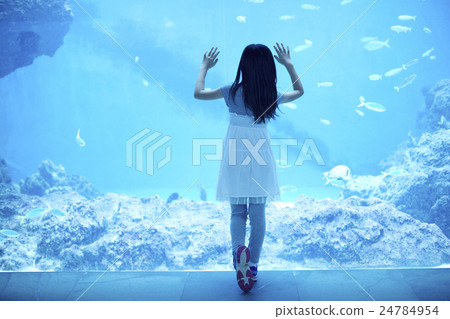 Aquarium Children 24784954
