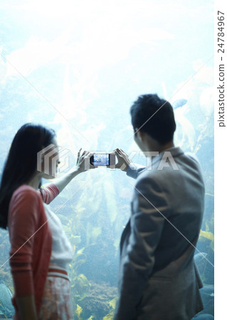 Aquarium date 24784967