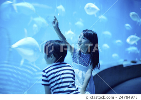 Aquarium sisters and sisters go out 24784973