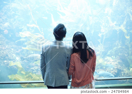 水族館約會 水族館約會 24784984