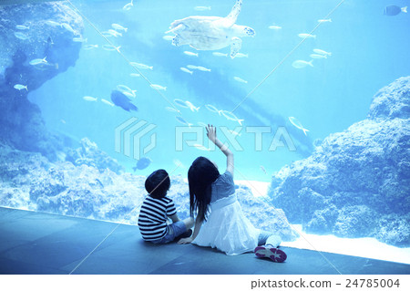 Sister brother watching a sea turtle at an aquarium 24785004