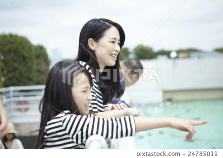 家庭水族館 家庭水族館 24785011