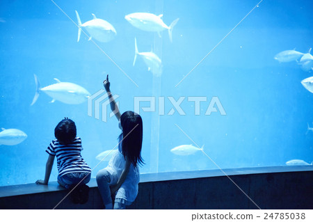 Aquarium sisters and sisters go out 24785038