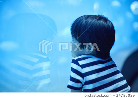 Aquarium boys Portrait 24785059