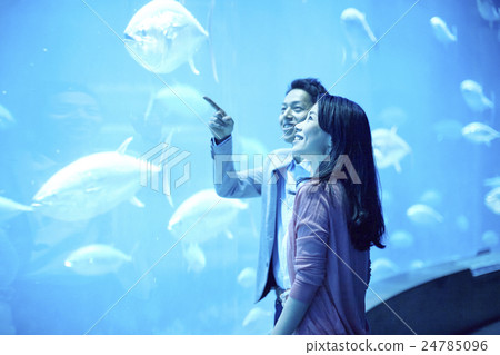 水族館約會 水族館約會 24785096