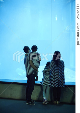 Aquarium Family 24785117