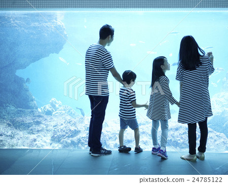 Aquarium Family 24785122