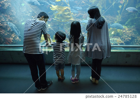 Aquarium Family 24785128