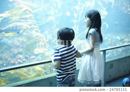 Aquarium sisters and sisters go out 24785131