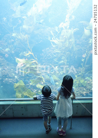 Aquarium sisters and sisters go out 24785132