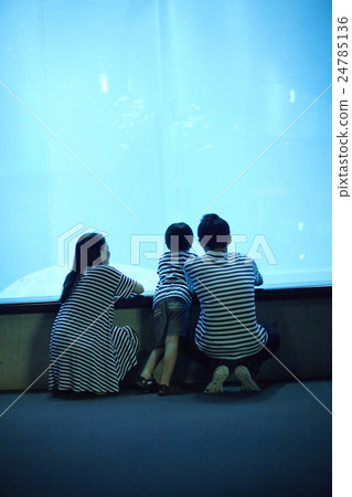 水族館家庭 24785136