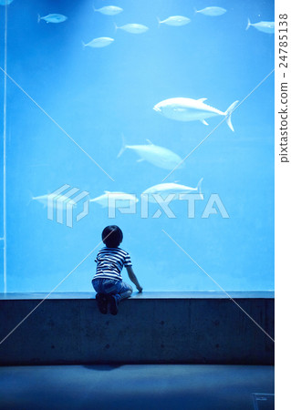 Aquarium boys Portrait Aquarium boys Portrait 24785138