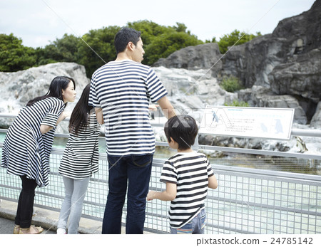 家庭水族館 家庭水族館 24785142