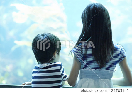 水族館的姐妹姐妹出去了 24785143