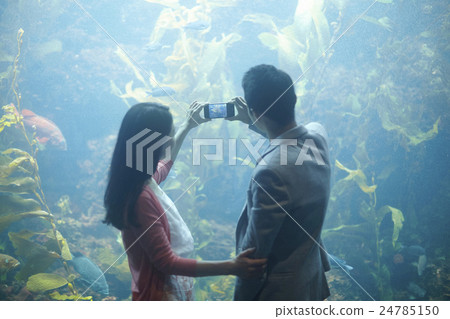 水族館約會 24785150