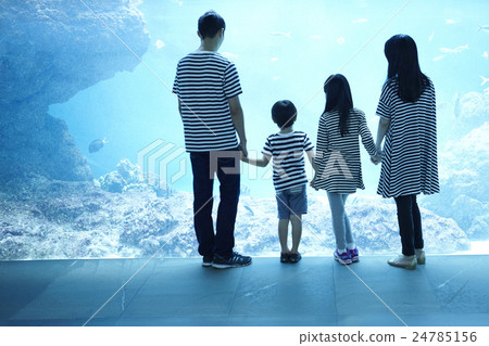 Aquarium Family 24785156