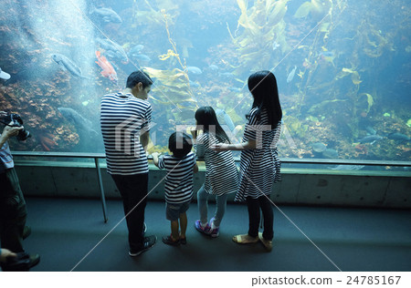 Aquarium Family 24785167