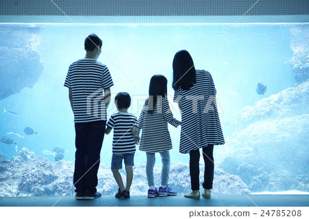 Aquarium Family Aquarium Family 24785208
