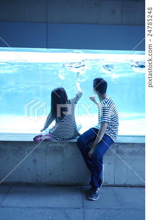 Family Aquarium 24785248