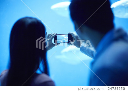 Aquarium date 24785250