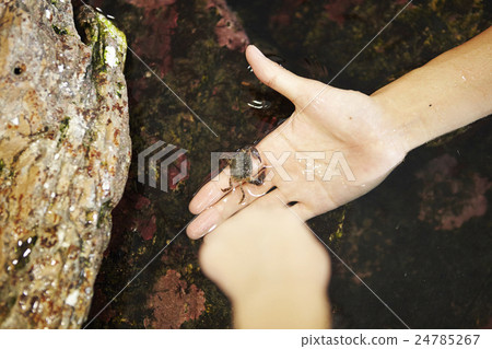 水族館聯繫體驗 24785267