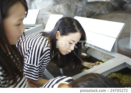 Aquarium Contact Experience Aquarium Contact Experience 24785272