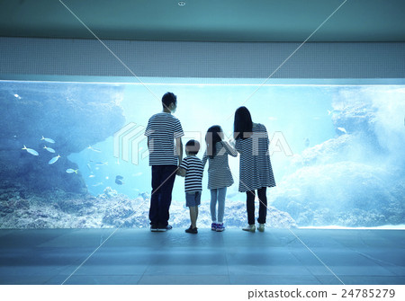 Aquarium Family Aquarium Family 24785279