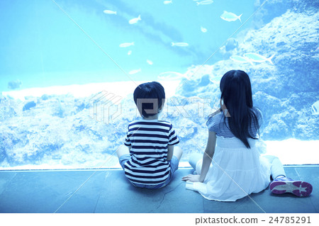 Aquarium sisters and sisters go out 24785291