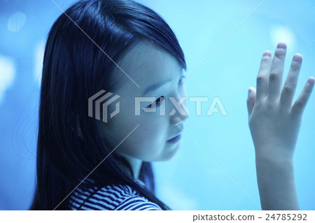 水族館女孩肖像 24785292