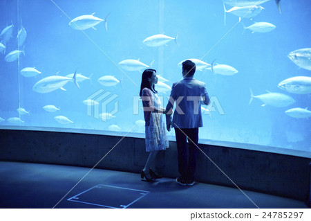 Aquarium date 24785297