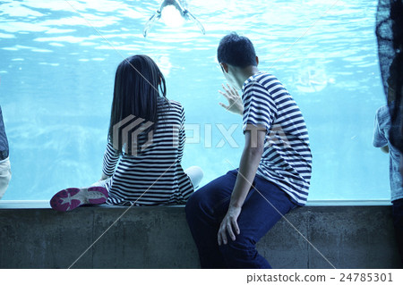 Family Aquarium 24785301