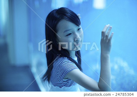 水族館女孩肖像 水族館女孩肖像 24785304