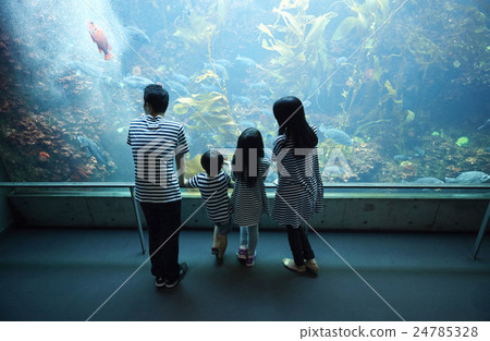Aquarium Family 24785328