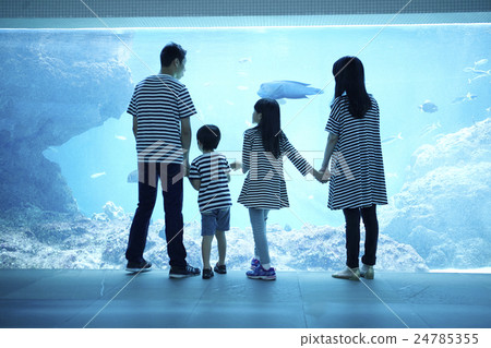 Aquarium Family Aquarium Family 24785355