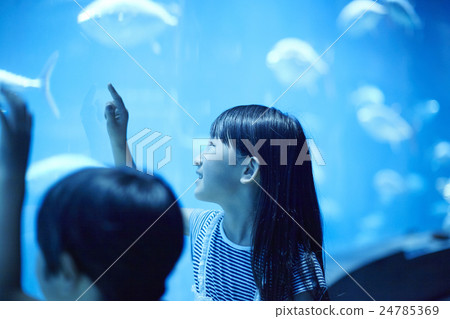 水族館的姐妹姐妹出去了 24785369