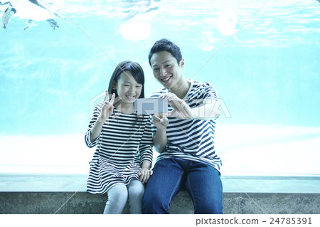 Family Aquarium 24785391